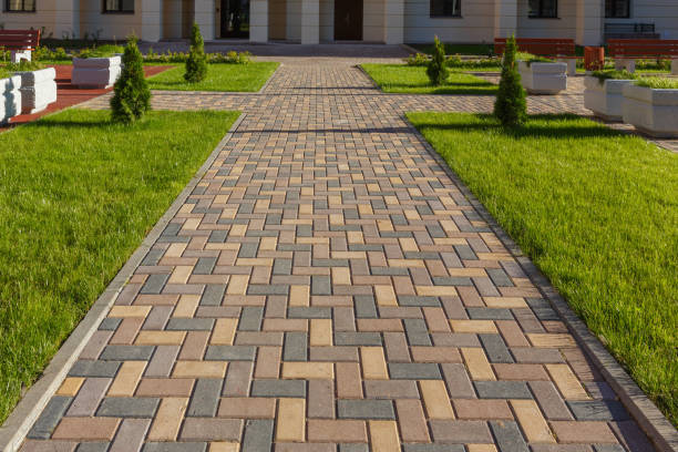 Best Commercial Driveway Pavers  in Jackson, CA