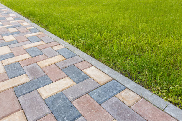 Best Driveway Pavers Contractor  in Jackson, CA